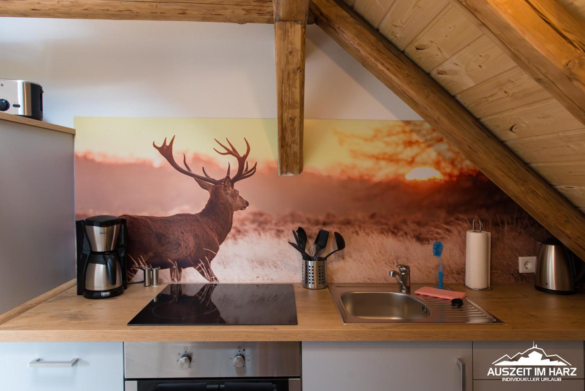 Auszeit Im Harz - Haus 2 Wohnung 5 Ширке Екстериор снимка